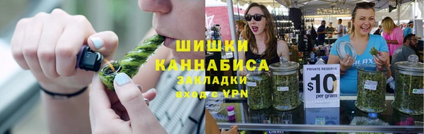 гашик Вяземский
