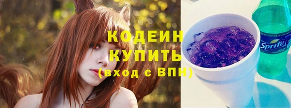гашик Вяземский