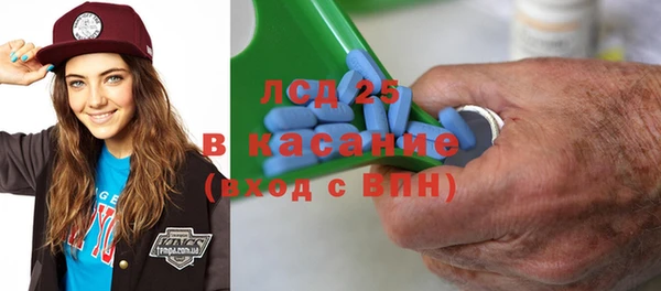 гашик Вяземский