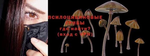 гашик Вяземский