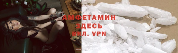 гашик Вяземский