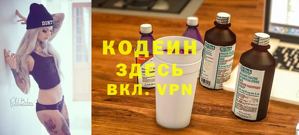 гашик Вяземский