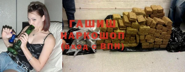 гашик Вяземский